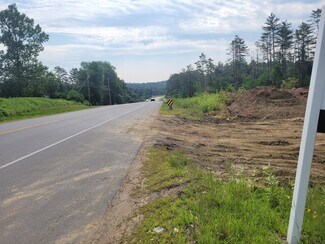 Plus de détails pour 680-2 680-2 John Stark Hwy, Newport, NH - Terrain à vendre