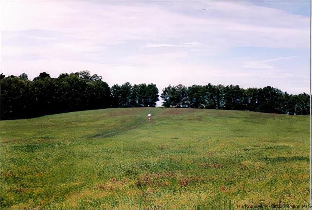 TBD County Rt 6, Oriskany Falls, NY for sale - Building Photo - Image 1 of 3