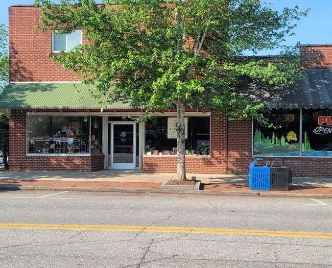 Plus de détails pour 84 E Main St, Brevard, NC - Commerce de détail à vendre