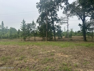 Plus de détails pour 0 State Route 22a, Enville, TN - Terrain à vendre