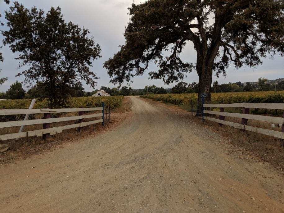 3900 Jackson Valley Rd, Ione, CA for sale Primary Photo- Image 1 of 1