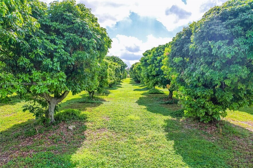 22220 SW 248th St, Homestead, FL for sale - Building Photo - Image 2 of 11