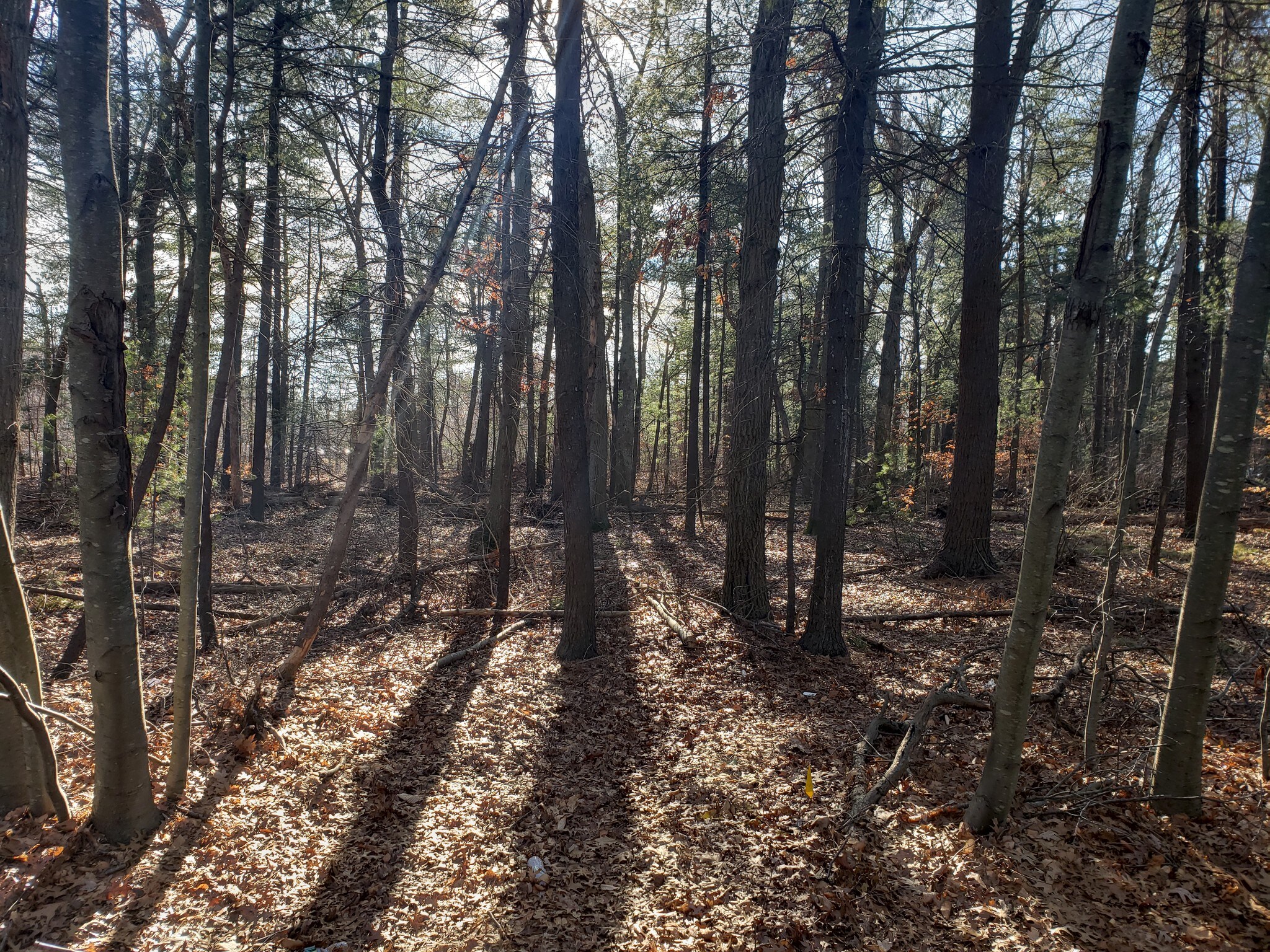 400 Cordwainer Dr, Norwell, MA à vendre Photo du bâtiment- Image 1 de 3