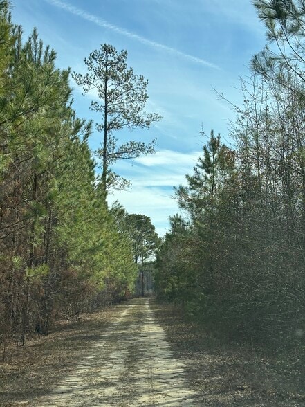 0 Hwy 15, Holly Hill, SC for sale - Other - Image 2 of 9