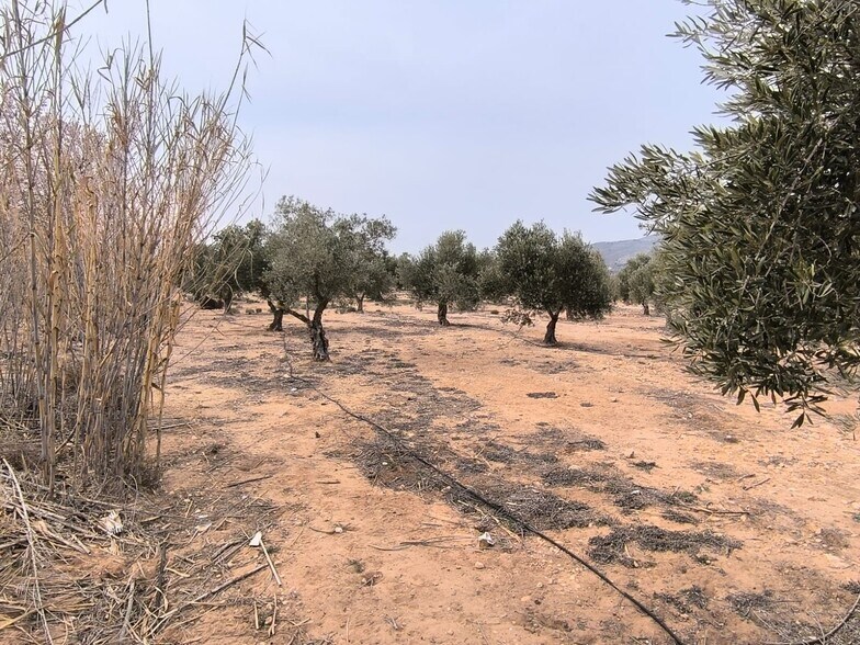 Land in Alicante, Alicante for sale - Primary Photo - Image 2 of 9