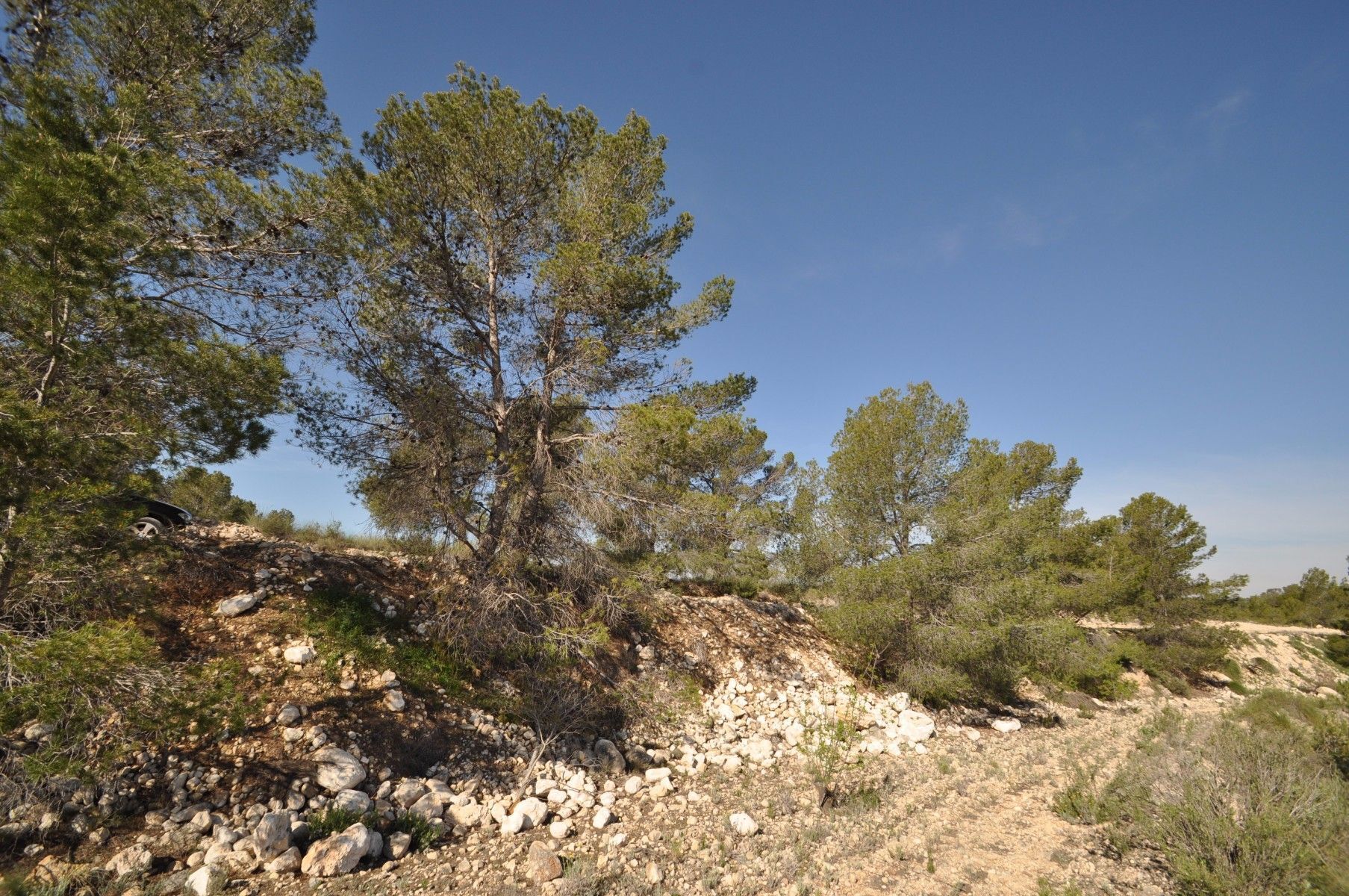 Terrain dans Jumilla, Murcia à vendre Photo principale- Image 1 de 10