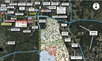 Plus de détails pour SEC SR 52 & Silver Palm Blvd, Land O' Lakes, FL - Terrain à louer