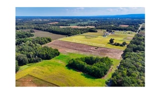 952 Manley Rd, Hazel Green, AL - Aerial  map view