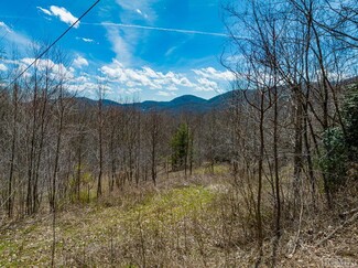 Plus de détails pour 0000 Big Ridge Rd, Glenville, NC - Terrain à vendre