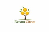 DREAM CITRUS