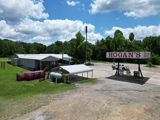 Plus de détails pour 52558 AL Highway 77, Talladega, AL - Vente au détail à vendre