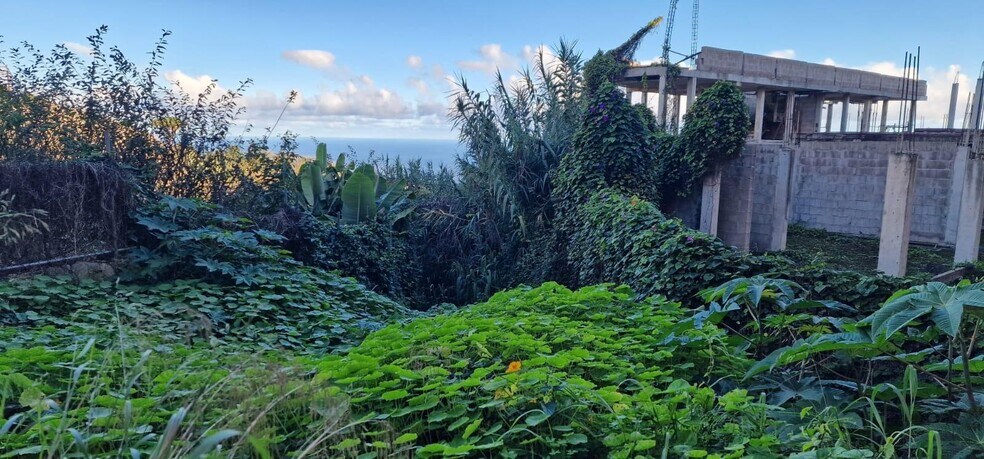 Terrain dans Firgas, Las Palmas à vendre - Photo du bâtiment - Image 3 de 10