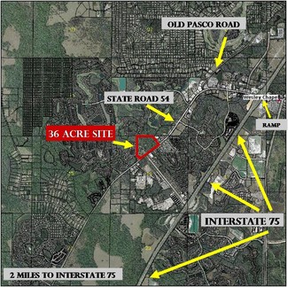 More details for State Road 54, Wesley Chapel, FL - Land for Sale