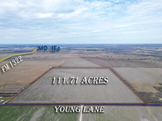 More details for Young, Lockhart, TX - Land for Sale