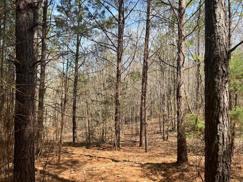 16 Unbridled Rd SE, Rome, GA for sale - Primary Photo - Image 1 of 7