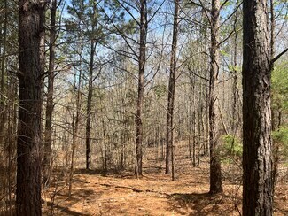 Plus de détails pour 16 Unbridled Rd SE, Rome, GA - Terrain à vendre