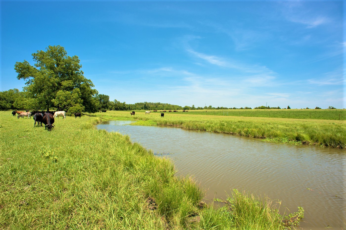 4262 Tx-11, Wolfe City, TX à vendre Autre- Image 1 de 1