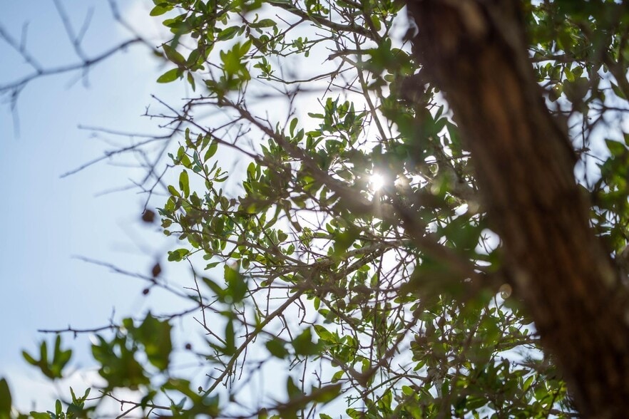 704 South Highway 35 Byp, Rockport, TX for sale - Other - Image 2 of 33