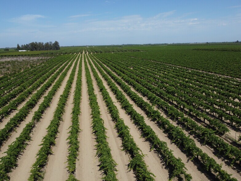 S. of Locan & Conejo Intersection, Kingsburg, CA for sale - Building Photo - Image 2 of 5