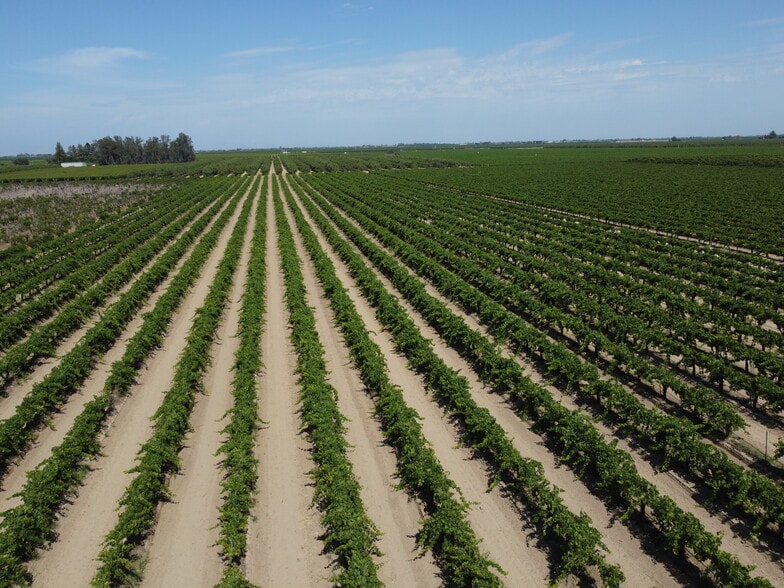 S. of Locan & Conejo Intersection, Kingsburg, CA à vendre - Photo du bâtiment - Image 2 de 5