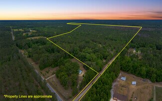 Plus de détails pour 00 Rice Rd, Ridgeville, SC - Terrain à vendre