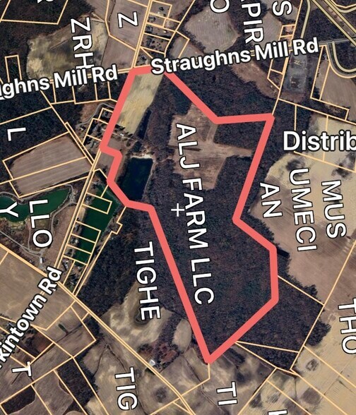 331 Perkintown Rd, Pedricktown, NJ à vendre - Aérien - Image 2 de 3