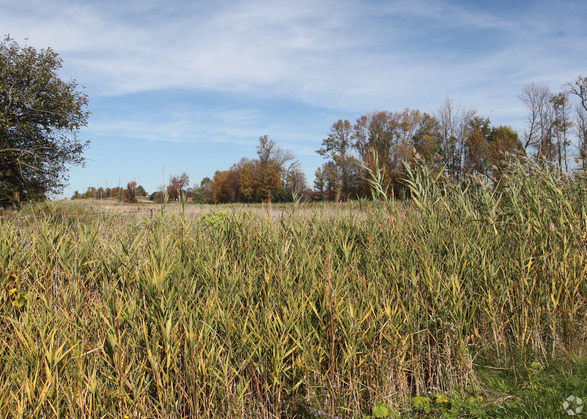 900 Rossland Rd W, Whitby, ON à vendre Photo principale- Image 1 de 1