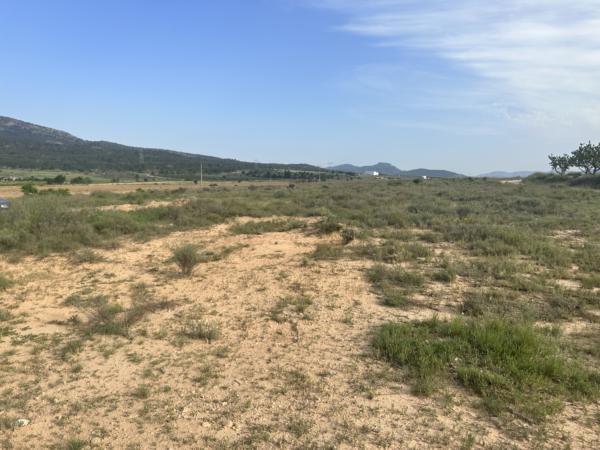 Terrain dans Salinas, Alicante à vendre Plan de site- Image 1 de 7