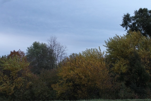 Lot 2 Fabyan Parkway, Elburn, IL for sale - Primary Photo - Image 1 of 7