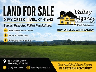 Plus de détails pour 0 Ivy crk, Ivel, KY - Terrain à vendre