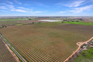 Plus de détails pour Lone Tree Road, Oroville, CA - Terrain à vendre