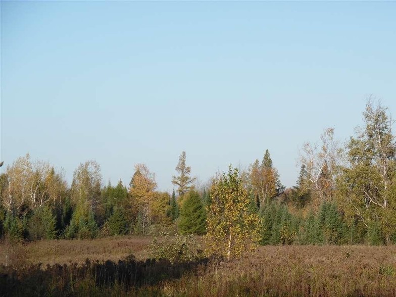 Wagner Vogt Rd & Bear Lake Rd, Butternut, WI for sale - Primary Photo - Image 1 of 1