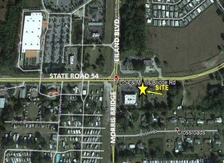 Plus de détails pour 34540 State Road 54, Zephyrhills, FL - Terrain à louer