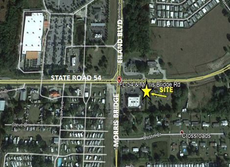 34540 State Road 54, Zephyrhills, FL à louer Photo principale- Image 1 de 7