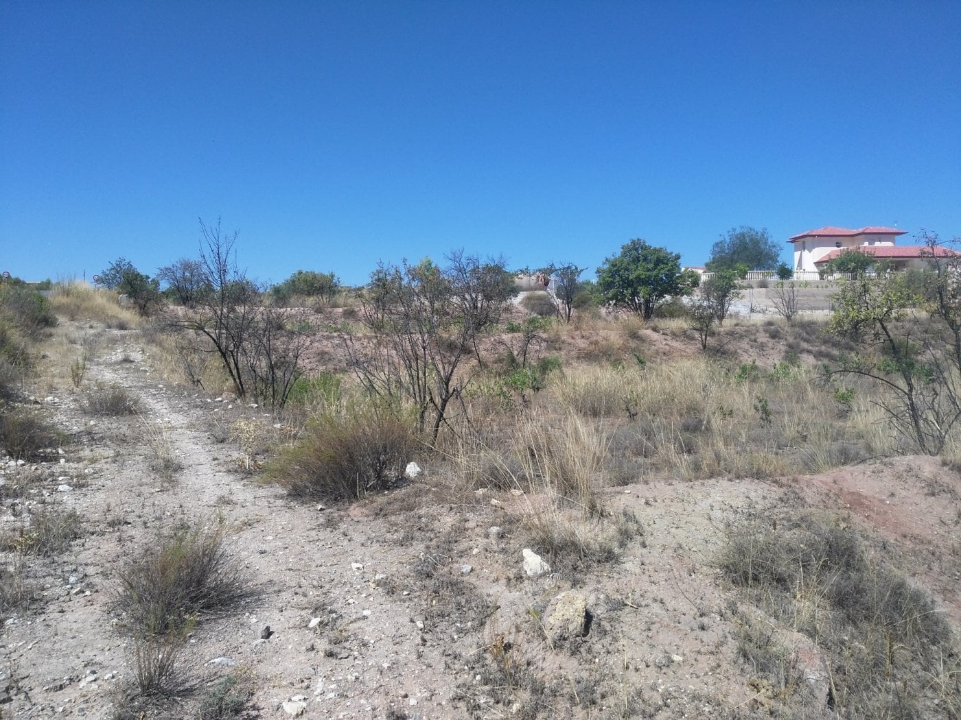 Terrain dans Calasparra, Murcia à vendre Plan de site- Image 1 de 8