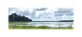 More details for 7707 Holden Park Rd, Hawthorne, FL - Land for Sale