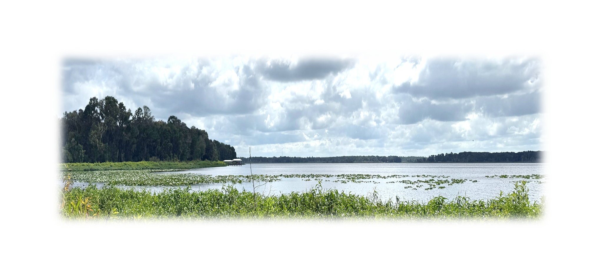 7707 Holden Park Rd, Hawthorne, FL à vendre Photo du bâtiment- Image 1 de 20