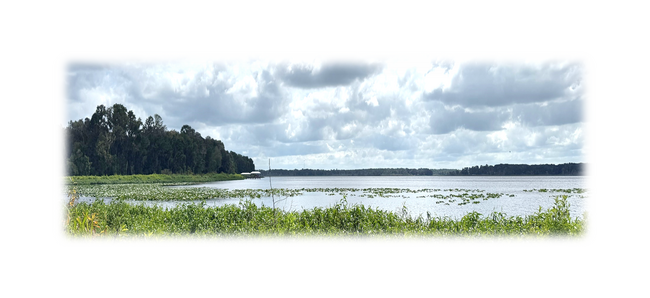 More details for 7707 Holden Park Rd, Hawthorne, FL - Land for Sale