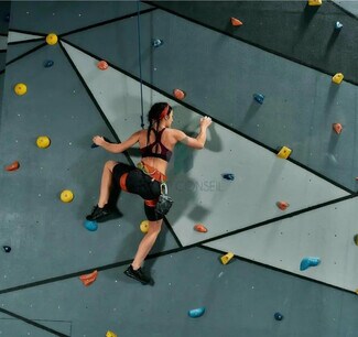 Plus de détails pour Flex à vendre