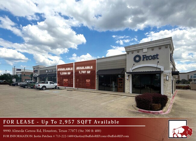 Plus de détails pour 9990 Almeda Genoa Rd, Houston, TX - Commerce de détail à louer