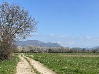Plus de détails pour Polígono, 151, Castelló d'Empúries - Terrain à vendre