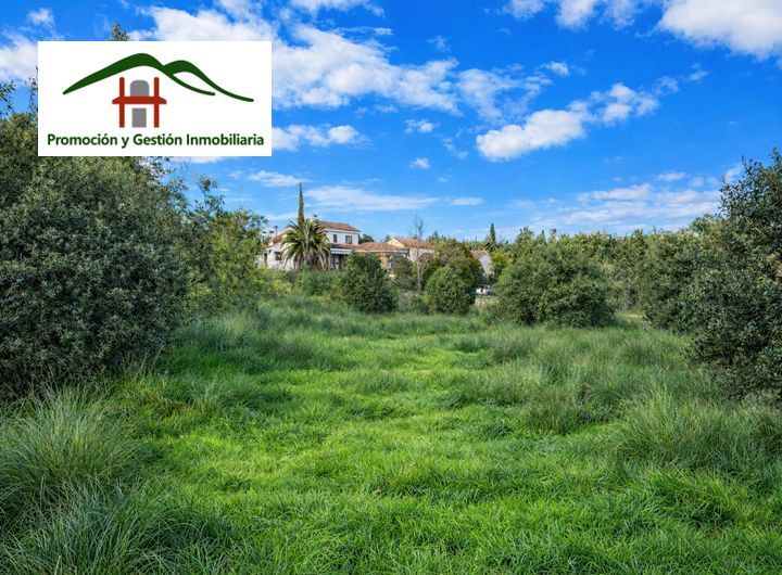 Avenida Marsil, 97, Las Rozas de Madrid, Madrid à vendre - Photo du bâtiment - Image 2 de 5