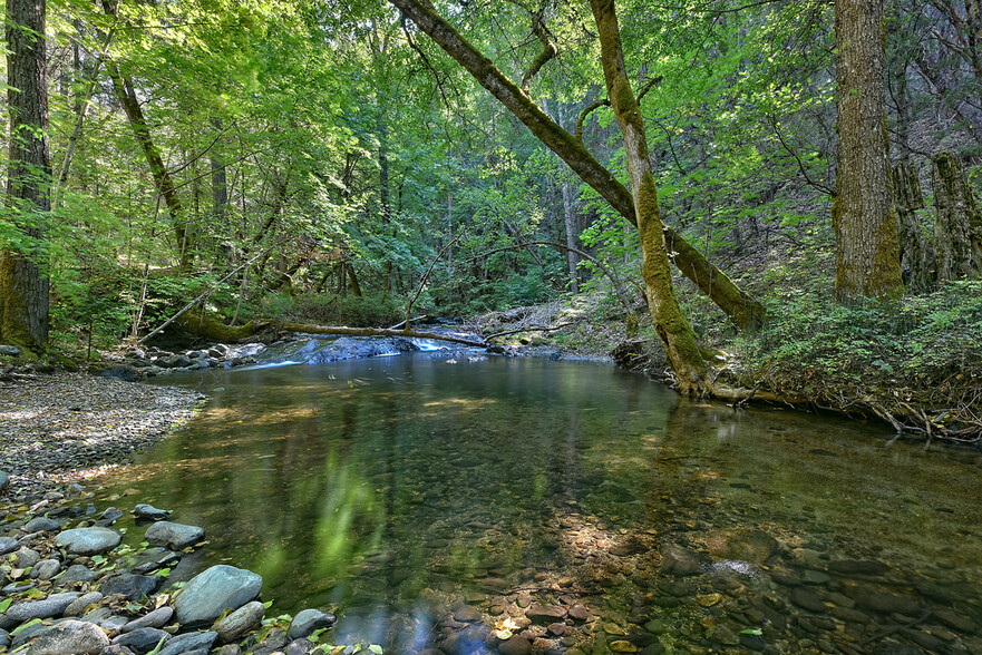 10000 Little Applegate Rd, Jacksonville, OR à vendre - Photo principale - Image 1 de 1