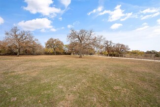 Plus de détails pour 300 Nichols Ct, Granbury, TX - Terrain à vendre