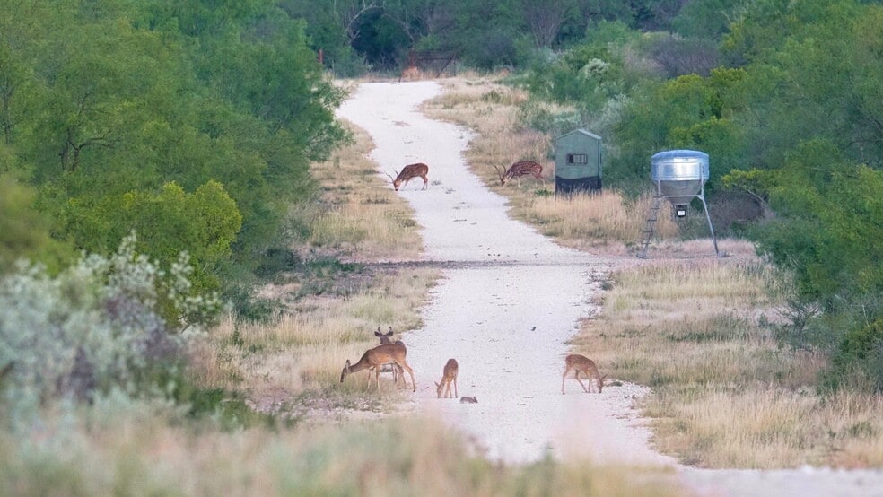 000 Ranch to Market 3008, Brackettville, TX for sale - Building Photo - Image 2 of 63