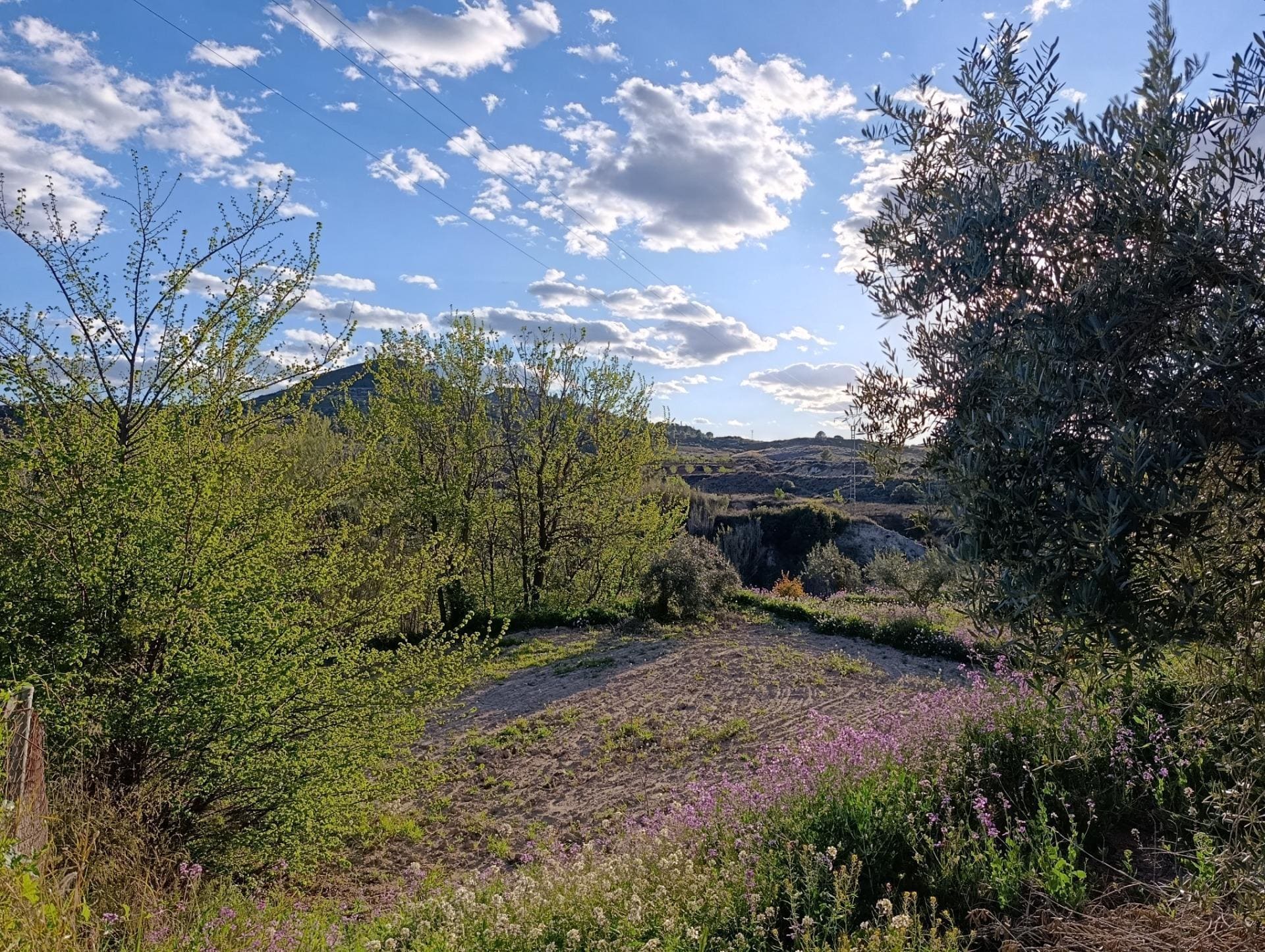 Land in Cehegín, Murcia for sale Building Photo- Image 1 of 7