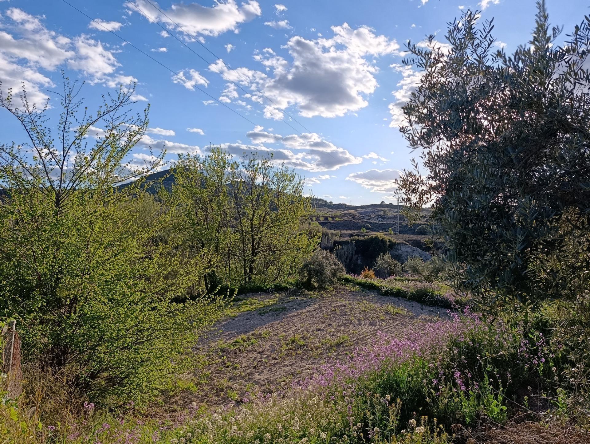 Land in Cehegín, Murcia for sale Building Photo- Image 1 of 7
