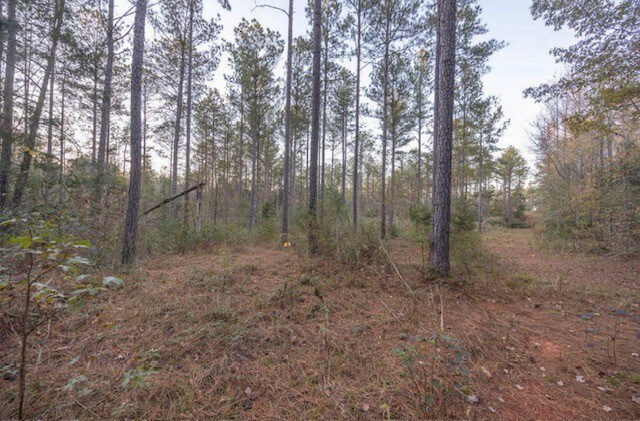 Tbd Barr Chapel Road, Edgefield, SC for sale - Building Photo - Image 2 of 3