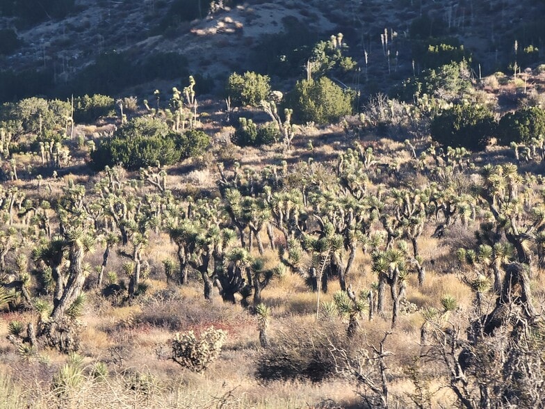 300 E Ave Z12 East Ave, Llano, CA for sale - Aerial - Image 3 of 9