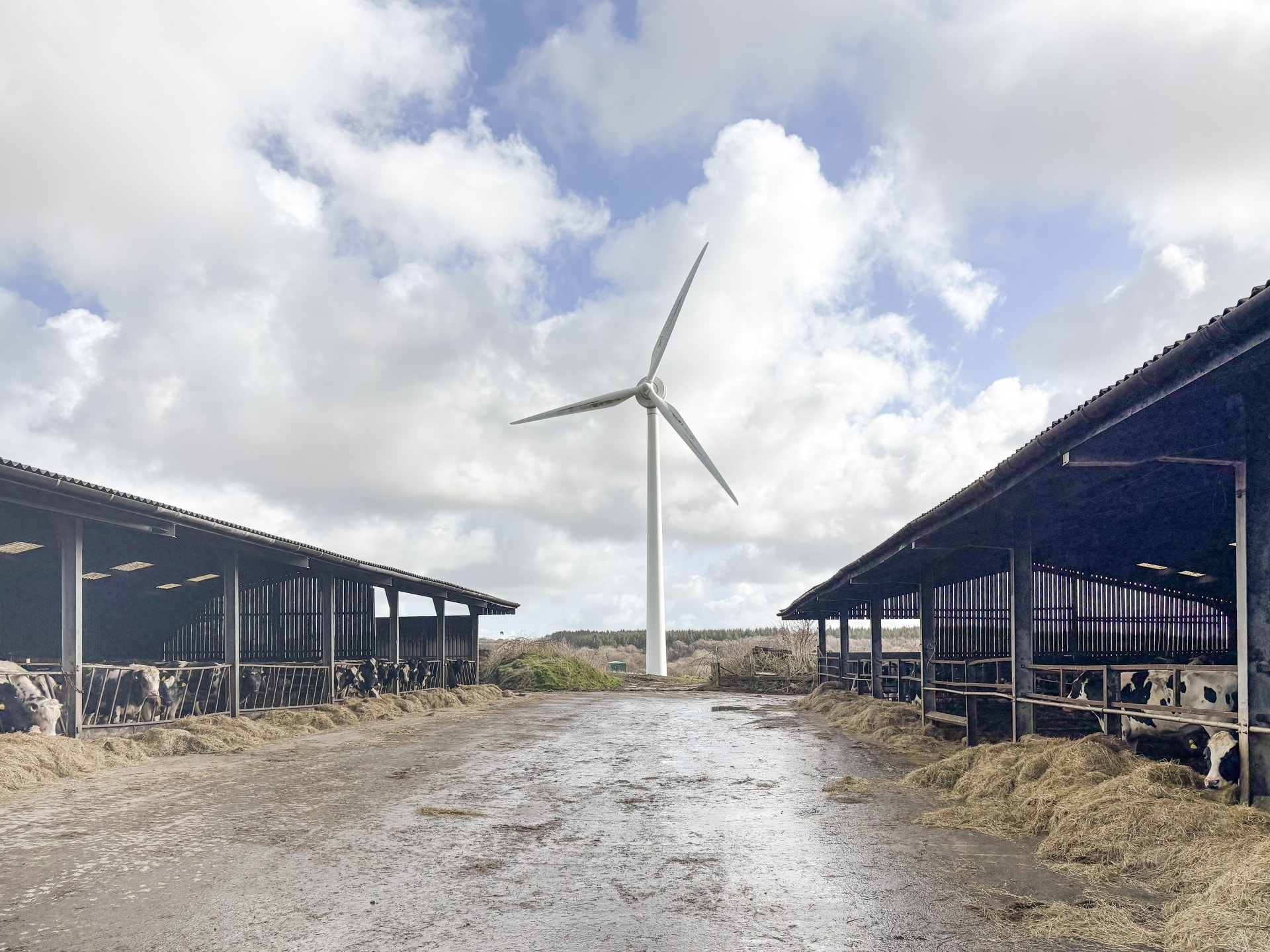 A388, Holsworthy for sale Primary Photo- Image 1 of 5